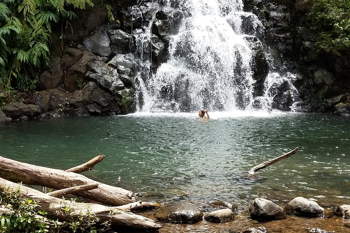 Kalihi Ice Ponds